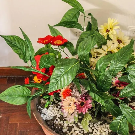 Penzion Alexander House 3*